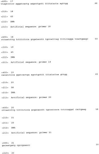 Способ конструирования оперонов, содержащих трансляционно сопряженные гены (патент 2411292)