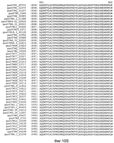 Мутантные антигены gas57 и антитела против gas57 (патент 2471497)