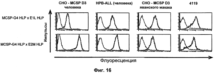 Cd3-эпсилон-связывающий домен с межвидовой специфичностью (патент 2561457)