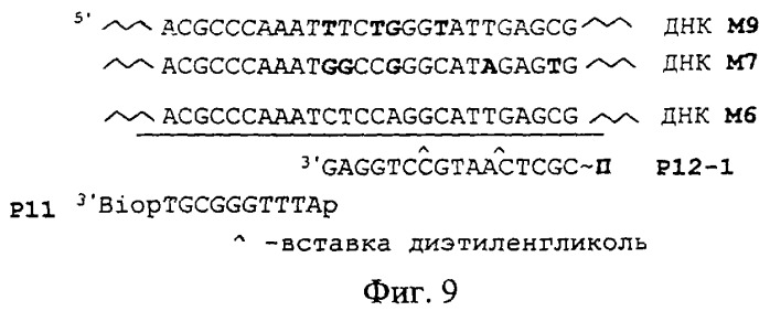 Способ выявления анализируемой последовательности днк (патент 2259402)