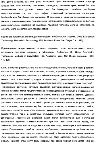 Способ получения полиненасыщенных кислот жирного ряда в трансгенных организмах (патент 2447147)