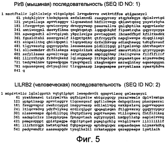 Модуляторы нейрональной регенерации (патент 2447449)