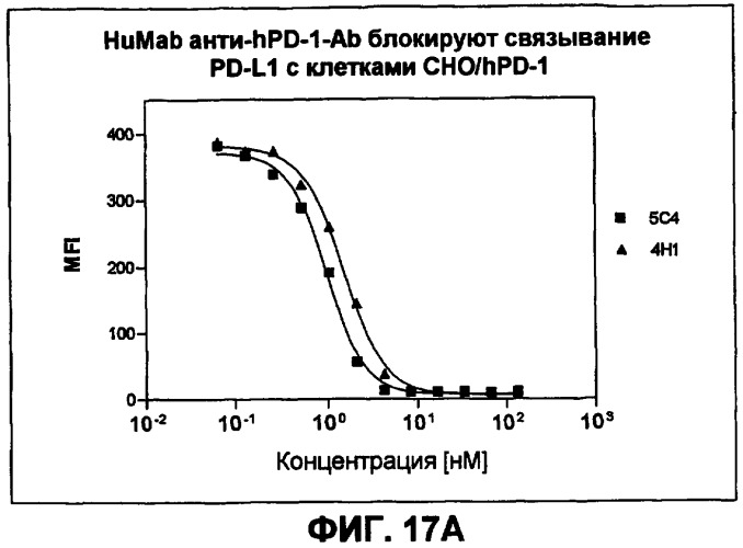 Моноклональные антитела человека к белку программируемой смерти 1 (pd-1) и способы лечения рака с использованием анти-pd-1-антител самостоятельно или в комбинации с другими иммунотерапевтическими средствами (патент 2406760)