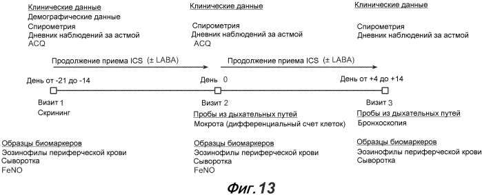 Способы диагностики и лечения, связанные с ингибированием th2 (патент 2578468)