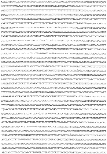 Применение s1p (патент 2362565)
