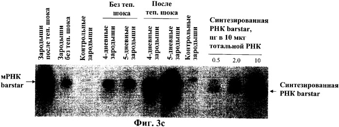 Молекулярный контроль сегрегации трансгенов и их утечки с использованием системы возмещаемого блокирования функции (патент 2270866)