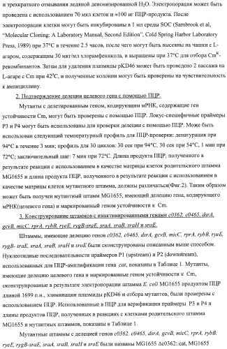 Способ получения l-аминокислот с использованием бактерии, принадлежащей к роду escherichia, в которой инактивирован один или несколько генов, кодирующих малые рнк (патент 2395567)