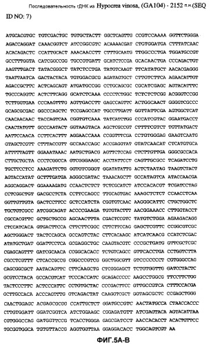 Глюкоамилаза trichoderma reesei и ее гомологи (патент 2394101)