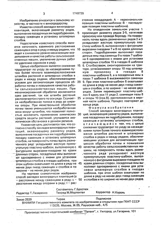 Способ закладки виноградных плантаций (патент 1748729)