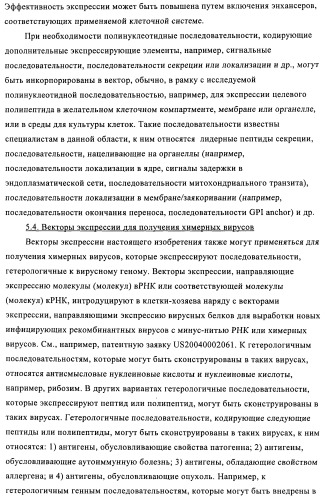 Способы и композиции для экспрессии антисмысловой вирусной рнк в клетках собаки (патент 2457250)