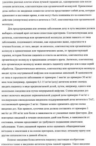 Композиции и способы диагностики и лечения опухоли (патент 2430112)