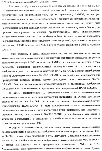 Аминокислотные последовательности, направленные на rank-l, и полипептиды, включающие их, для лечения заболеваний и нарушений костей (патент 2481355)