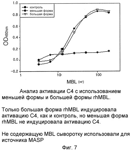 Способ массового производства мультимерного маннозосвязывающего лектина (патент 2350654)