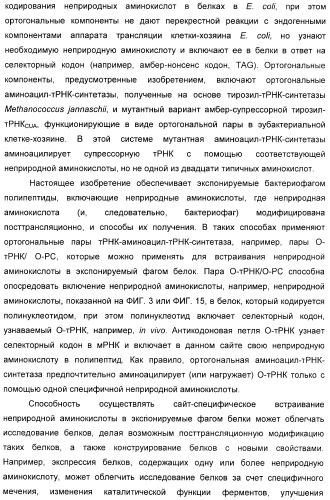 Селективная посттрансляционная модификация экспонируемых фагами полипептидов (патент 2459866)