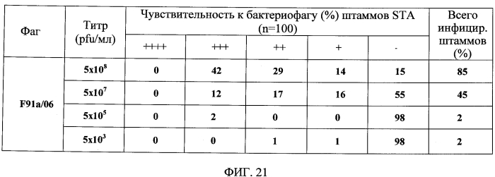 Бактериофаг, обладающий активностью против pseudomonas aeruginosa, белки бактериофага и способы их применения (патент 2580248)