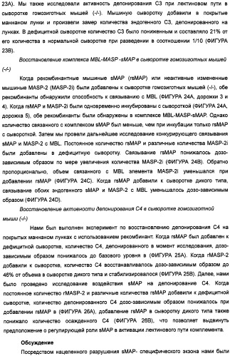 Способ лечения заболеваний, связанных с masp-2-зависимой активацией комплемента (варианты) (патент 2484097)