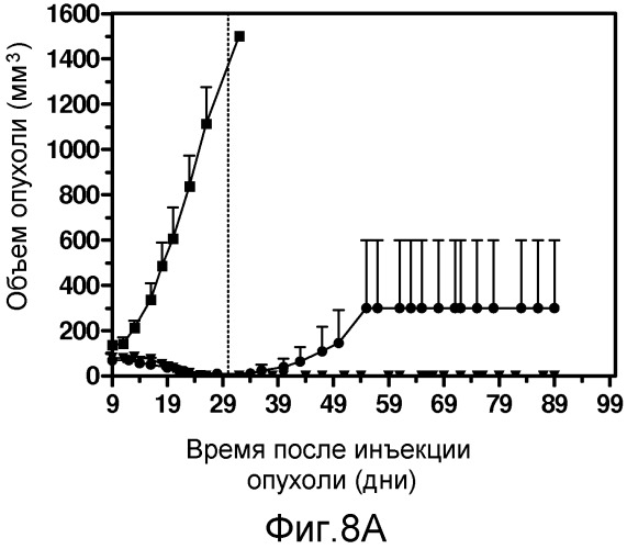 Конъюгаты, содержащие гидрофильные спейсеры линкеров (патент 2523909)
