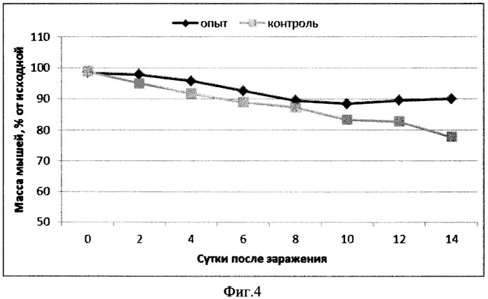 Вакцина для профилактики и лечения ротавирусной инфекции, содержащая гибридный белок в качестве активного агента (варианты) (патент 2539913)