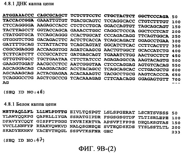 Применение антител к ctla-4 (патент 2346702)