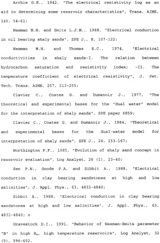Система петрофизической оценки в реальном времени (патент 2315339)