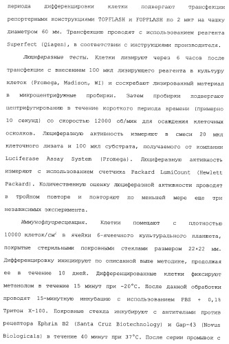 Миметики с обратной конфигурацией и относящиеся к ним способы (патент 2434017)