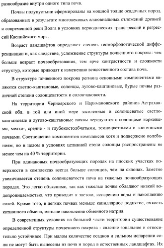 Способ прогнозирования семенной продуктивности солодки (патент 2364078)