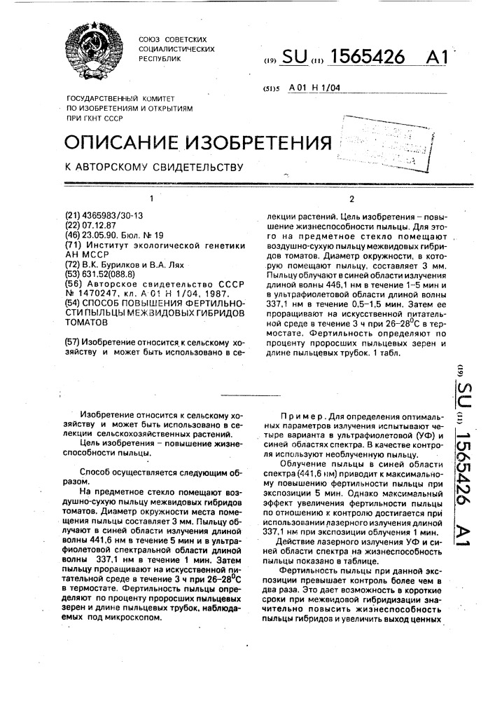 Способ повышения фертильности пыльцы межвидовых гибридов томатов (патент 1565426)