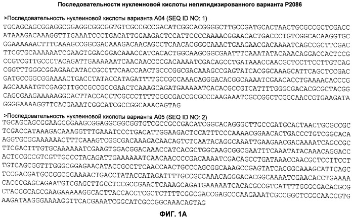 Нелипидизированные варианты антигенов neisseria meningitidis orf2086 (патент 2546873)