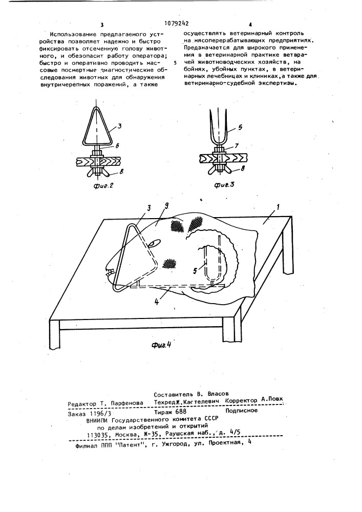 Устройство для фиксации отсеченных голов животных (патент 1079242)