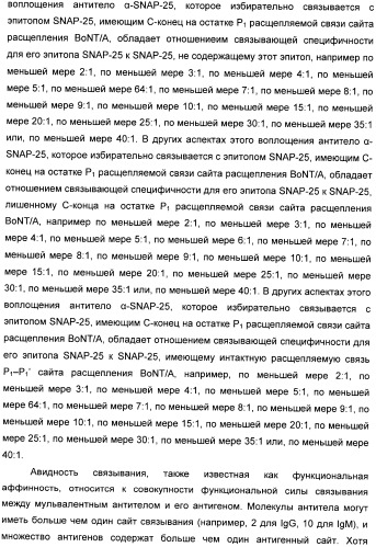 Иммунологические анализы активности ботулинического токсина серотипа а (патент 2491293)