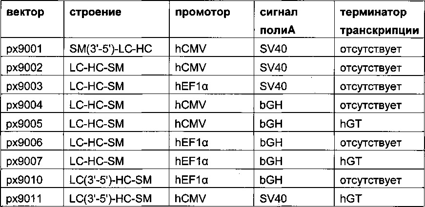 Строение экспрессионного вектора, новые способы получения клеток-продуцентов и их применение для рекомбинантного получения полипептидов (патент 2628703)