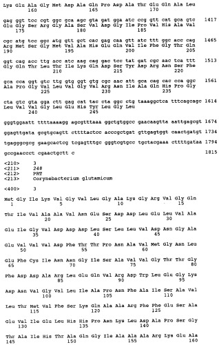 Способ получения l-лизина (патент 2264461)