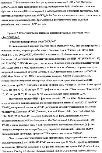 Способ получения l-треонина с использованием бактерии, принадлежащей к роду escherichia, в которой инактивирован кластер генов sfmacdfh-fimz или ген fimz (патент 2333953)