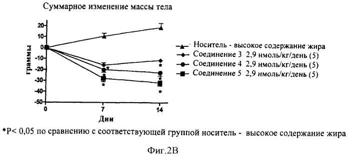 Пептид, обладающий свойствами амилина (варианты), и его применение (варианты) (патент 2385878)