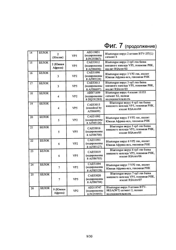 Реассортантные btv и ahsv вакцины (патент 2656187)