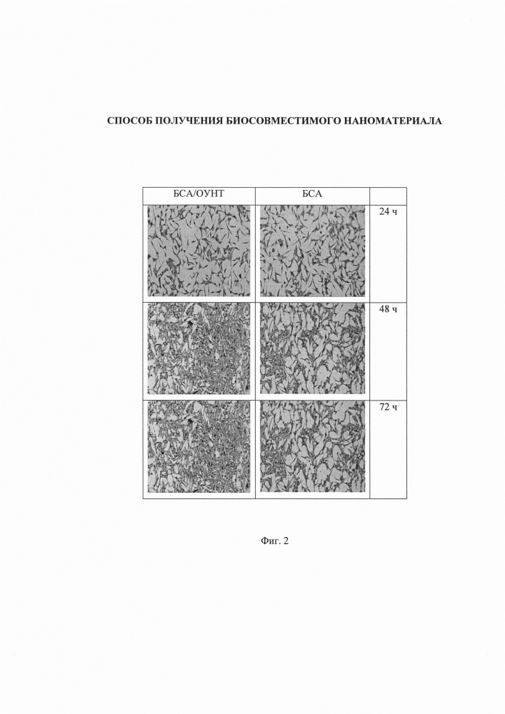 Способ получения биосовместимого наноматериала (патент 2633088)