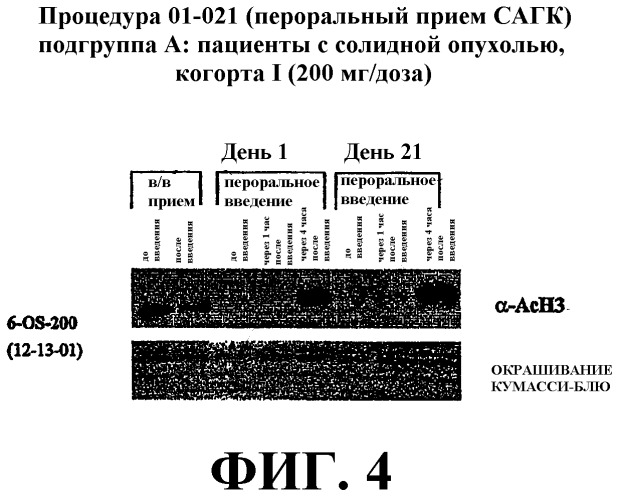 Способы индукции конечной дифференцировки (патент 2530648)