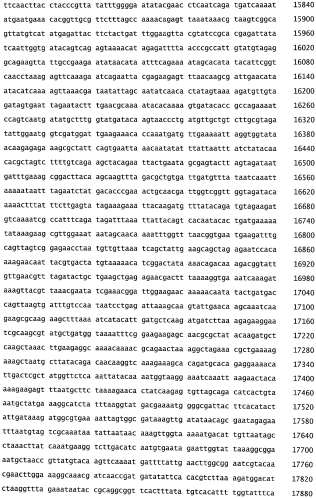 Бактериофаг, обладающий активностью против pseudomonas aeruginosa, белки бактериофага и способы их применения (патент 2580248)