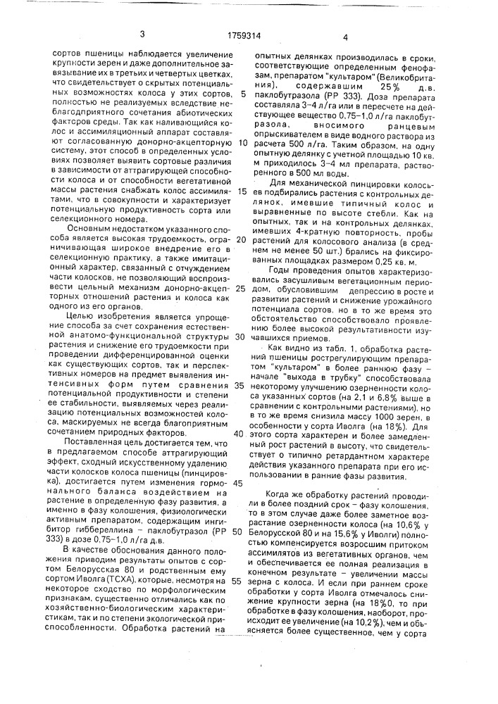 Способ оценки потенциальной продуктивности форм пшеницы (патент 1759314)