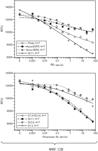 Антитела к her (патент 2504553)