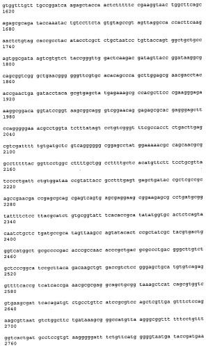 Антитела к рецептору конечных продуктов глубокого гликирования (rage) и их применения (патент 2518351)