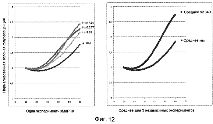 Применение hsp70 в качестве регулятора ферментативной активности (патент 2571946)