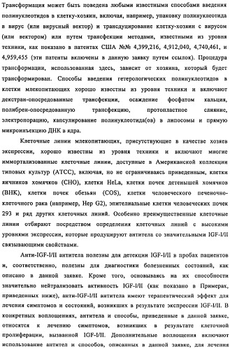 Связывающие протеины, специфичные по отношению к инсулин-подобным факторам роста, и их использование (патент 2492185)