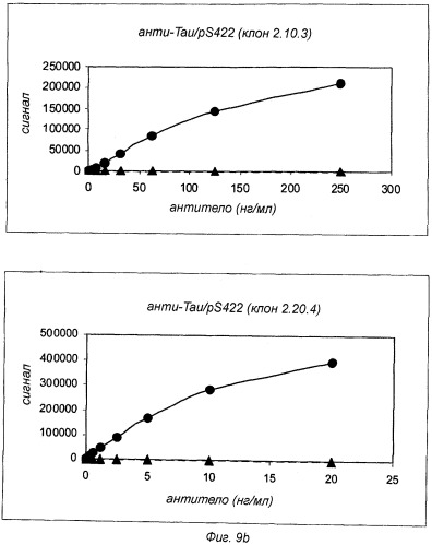Применение антитела против tau ps422 для лечения заболеваний головного мозга (патент 2536247)
