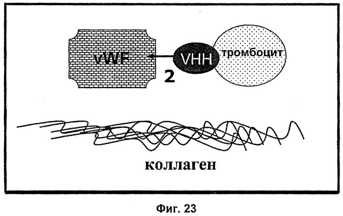 Терапевтические полипептиды, их гомологи, их фрагменты и их применение для модуляции агрегации, опосредованной тромбоцитами (патент 2524129)