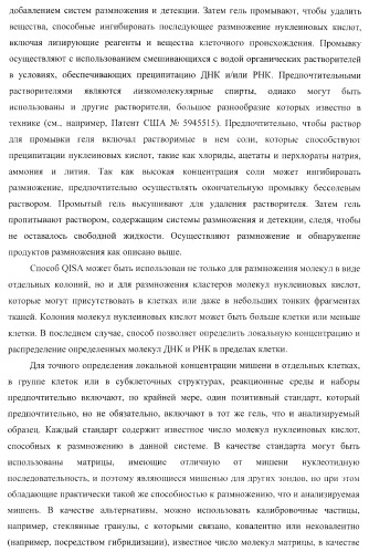 Бесконтактные способы обнаружения молекулярных колоний, наборы реагентов и устройство для их осуществления (патент 2394915)