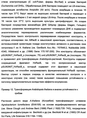 Новые последовательности нуклеиновых кислот и их применение в способах достижения устойчивости к патогенам в растениях (патент 2346985)