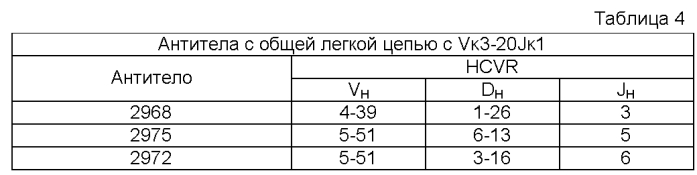 Мышь с общей легкой цепью (патент 2571205)