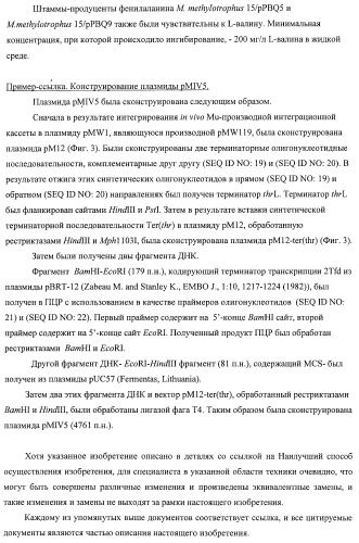 Способ придания бактерии, принадлежащей к роду methylophilus, ауксотрофности по l-аминокислоте, бактерия, принадлежащая к роду methylophilus, и способ продукции l-аминокислоты (патент 2395569)