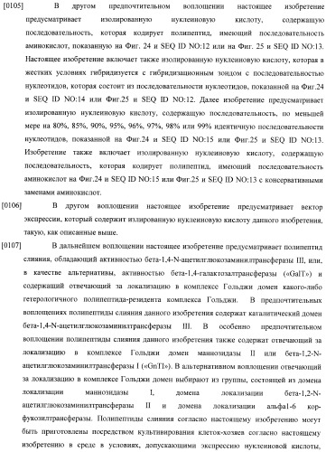 Конструкции слияния и их применение для получения антител с повышенными аффинностью связывания fc-рецептора и эффекторной функцией (патент 2407796)